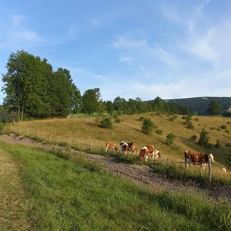 Attractive In Near Area Appartement Rokytnice nad Jizerou