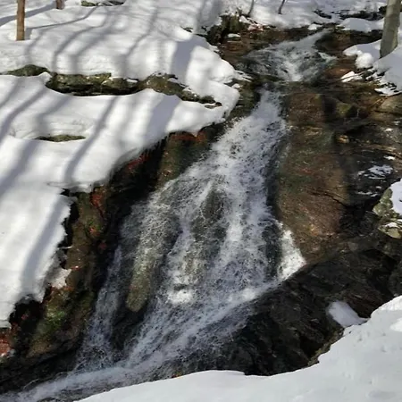 Attractive In Near Area
