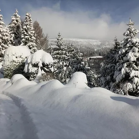 דירה Attractive In Near Area